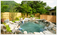 鬼怒川公園岩風呂(公営温泉)