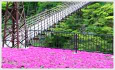 滝見橋