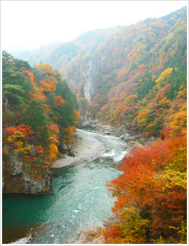 日光では、奥日光から始まり、中禅寺湖、竜頭の滝、そして東照宮周辺と時期により見どころが移り行きます