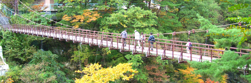 健康志向のあなたにお勧めの「温泉ウォーキング」
