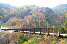 楯岩大橋